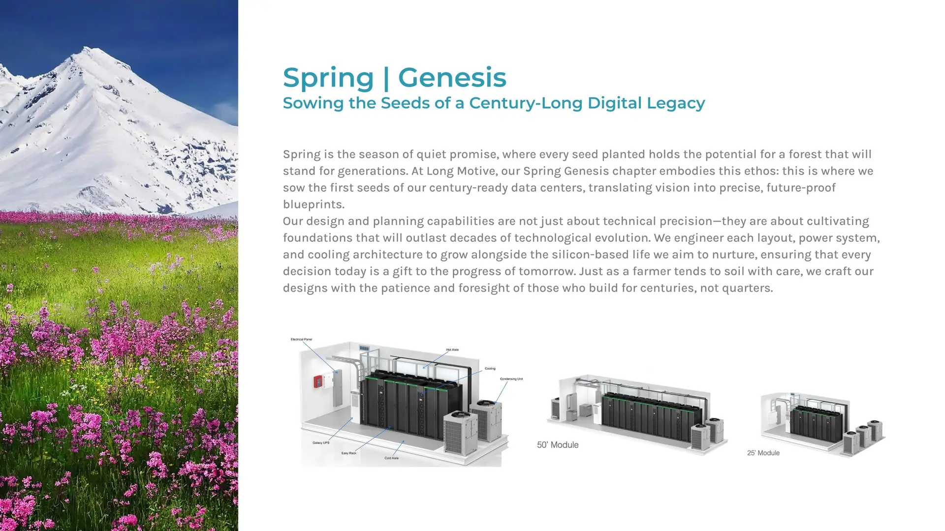 p4 spring